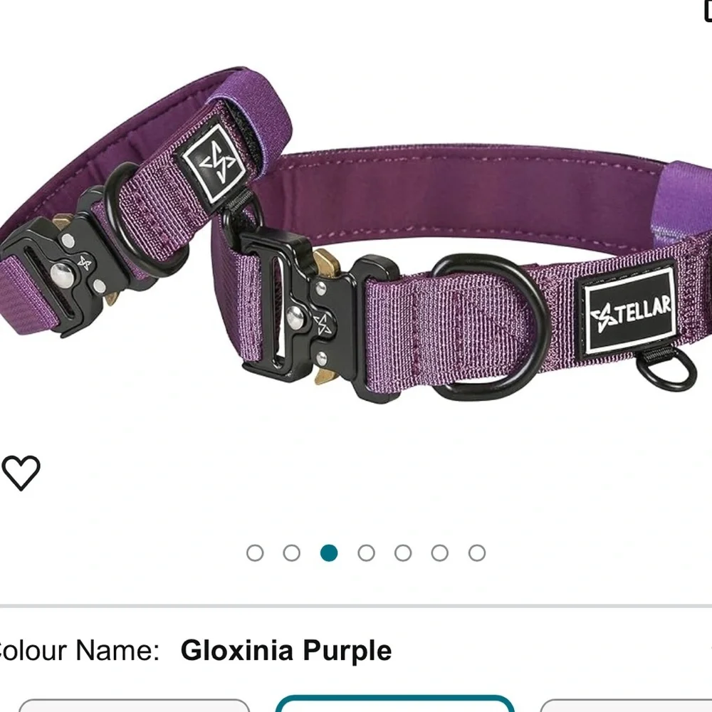 Stellar Ménage Premium Dog Collar Tactical Collar Sz 3 Purple Fits Neck 10-11.5